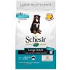 Offertissima Schesir Adult Large con Pesce - 12 Kg