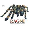Dix Ragni, scorpioni e altre creature spaventose. Ediz. a colori