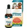 BUSH BIOTHERAPIES Pty Ltd Diffidence & Timidity Essenza Flower 30 ml - Rimedio Naturale per Diffidenza e Timidezza