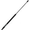 Motomarine Attuatore a Gas 10 kg L 550 mm - Pistone a Molla con Stelo Cromato per Portelli