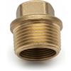 Viridex Tappo Maschio in Ottone - 2"