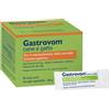 N.B.F. LANES Srl GASTROVOM 30STICK PACK