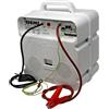 Gemi Elettronica Elettrificatore e/220 a corrente 220 v per recinto elettrico gemi
