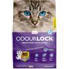 ODOURLOCK Intersand - Lettiera OdourLock per gatti, 12 kg