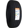 aptany 225/55 ZR17 101 W RA301 XL -55/55/R17 101 W - B/C/70DB - Pneumatico estivi