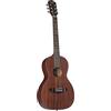 J & D AP-5 Parlor Matt - Chitarra acustica