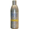 BES, Silkat Phc Day By Day D2 Rest. Conditioner 1000 ml