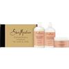 Shea Moisture SheaMoisture Cofanetto Regalo Curl & Shine, Con Shampoo, Balsamo e Crema Leave-In, Per Capelli Ricci e Afro, Idratazione ed Effetto Anti-Crespo, Con Olio di Cocco e Ibisco, 384ml + 384ml + 326ml