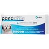 MSD PANADRON PLUS 6 COMPRESSE - scadenza vicina 30/09/2026