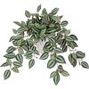 Oairse Piante Finte in Vaso 41cm Piante Artificiali Rampicanti Stringa di Piante Piante Finte in Vaso Piante Finte Faux Tradescantia Zebrina per Decorazione Interno Esterno Casa Ufficio Cucina Tavolo