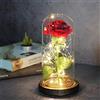zhongshan Decorazioni Natale Campana cupola con rosa eterna della bella e la bestia natalizia Alta 18 cm con Base in legno e 20 Micro LED a Luce Bianca Calda alimentate a batterie partenopeautensili®