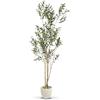 MAIA SHOP Olivo artificiale Flair 210 cm Minimal, pianta finta da interno con tronco naturale, albero decorativo realistico per casa ufficio hotel