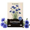 Grounding - Semi di Fiordaliso Doppio Blu (Centaurea cyanus), 3000+ semi - Fiori doppi blu intenso per aiuole e prato fiorito, ottimo da recidere - Qualità Europea