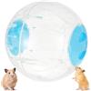 Persiiious Palla da ginnastica per criceti, 17 cm, in plastica, per gerbillo, criceti nani, porcellini d'India, jogging (blu)