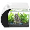 Fyssnn Set completo per acquario da 19 l, con illuminazione a LED e filtro, con parabrezza anteriore curvo per pesci da combattimento, guppy, gamberetti di soggiorno, ufficio e decorazione della