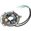 GPJTJROL for Y/a/m/a/h/a for Hidea for Parsun for Seatan 69P-85560 69P-85560-00 Carica Bobina di Illuminazione Base Magnetica Assy 2 Tempi 25Hp 30Hp