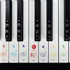 Imelod Adesivi per tastiera o pianoforte 49/61/76/88 Key, piano e tastiera Music Note, set completo di adesivi per tasti bianchi e neri, trasparenti e rimovibili (colorati)