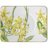 Villeroy & Boch Amazonia Piattino Tazza Te, Porcellana Bone China, Multicolore, 17x14x8.807 cm