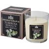 Cereria Di Giorgio - Candela Profumata in Bicchiere - Con Astuccio Protettivo - Cera Vegetale di Palma e Soia - Collezione Aromaterapia - Tuberosa - Sensualità - Durata 44 ore