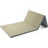 NMGBRDM Materasso Tatami Tradizionale Giapponese con Erba Corsa Verde Naturale, Tappeto a Pavimento Portatile a 4 Volte, Tessuto Comodo e Traspirante per Letto/Meditazione/Yoga(Size:100x200x3.5cm)