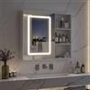 LKPOMI Specchio Bagno con Luce LED Regolabile, Specchio Bagno Contenitore con 3 Ripiani Laterali e Ripiano Regolabile Interno, Mobile Bagno con Specchio, Touch 3 Luci (Bianco 1 Ante A, 60,2 x 15.2 x 60,2 cm)