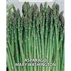 acquaverde Semi Sementi Asparago Mary Washington Ortaggi Vegetali