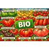 Generico Set Semi di Pomodoro bio (10 varietà) - oltre 100 Semi di Pomodoro per Coltivazione Facile in Giardino, Balcone o Serra - Semi da Piantare - Sementi