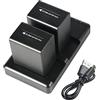 DSTE DE NP-FH100 (2 pezzi) Batteria di ricambio ricaricabile e doppio caricatore compatibile con DCR-DVD404E, DVD405, DVD405E, DVD406, DVD406E, DVD407E, DVD408, DVD410E, DVD450, DVD450E, fotocamera ecc.