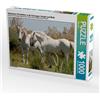Calvendo Vita naturale del cavallo in Camargue: Stallone e cavalla 1000 pezzi puzzle paesaggio 640x480 mm, Bölts Meike; 7310053