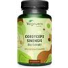 Vegavero Cordyceps sinensis| 60 capsule | 650 mg di estratto CS-4 (10:1) per capsula | 40% di polisaccaridi | vegano