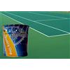 Color Point RESINA SMALTO PITTURA PER CAMPI SPORTIVI E DA TENNIS VERDE 4 Lt (5 KG)