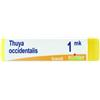 BOIRON SRL Thuya Occidentalis Mk Globuli