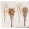 ANPROOR Decorazione di erba di Pampas essiccata, 100 pezzi di erba di Pampas contiene fiori secchi di Bunny Tails, bouquet di erba di canna per decorazioni da tavolo in stile Boho per matrimonio a casa 30