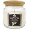 Cereria Di Giorgio - Candela Profumata in Giara - Con Astuccio Protettivo - Cera Vegetale di Palma e Soia - Collezione Aromaterapia - Tuberosa - Sensualità - Durata 80 ore - New Edition