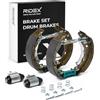 RIDEX 3859B0239 Kit freno Freno a tamburo Posteriore con accessori con cilindretto freno Compatibilità con CITROËN C3 II SC