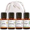 MY COSMETIK - Confezione pan di zenzero e coccole - Set di 4 oli essenziali biologici da diffondere - Arancia dolce, Cannella, Chiodi di garofano, Bergamotto - 4 x 5 ml