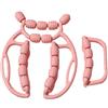 Wswqop Set di 2 Rulli per Massaggio Fasciale, 23 Ruote, per Gambe, Massaggio Manuale Braccia, Fitness, Sport, Palestra, Uso Interno, Rosa