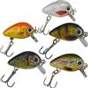 Paradox Fishing Mini Wobbler Set 5 galleggianti (2,5 cm, 1,5 g, 0,6 m-1 m) per trota e pesce persico