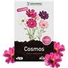 Grounding Maxi - Semi di Cosmea Mix bianco, rosa e fucsia, 5000 semi, altezza 80-120cm. Il Cosmos bipinnatus è ideale per aiuole e fiori recisi - Semina facile, fioritura prolungata, qualità Europea