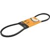 CONTITECH AVX10X920 Cinghie Trapeiz