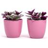 Vimin Box Set di 2 Vasi in terracotta | Misure D.10 cm H.9 cm | Ideali per Piante, Fiori e Bonsai. Coppia di Vasi da Interno ed Esterno | Portavasi Eleganti per Casa, Giardino, Balcone, Terrazzo (Rosa)