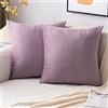 EMEMA Federe in velluto 50x50 Copricuscini Decorativi Fodere Rosa Viola | Cuscino per Divano Camera da Letto Casa Confezione da 2