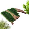 Generico Piattaforma per Tartarughe,Terrazza di Riposo per Terrario | Basamento per Rettili,per Tartarughe Acquatiche e Terrestri, Rane, Rettili, Draghi Barbuti, Gechi