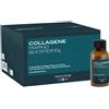 BIOS LINE SpA PRINCIPIUM COLLAGENE MARINO BOOSTER 10 G 10 FLACONI DA 30 ML CON EDULCORANTE SENZA GLUTINE SENZA LATTOSIO