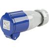 OROK Turbocar T-644480 Spina Caravan P17, Femmina