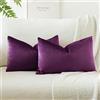 JOTOM Set Di 2 Fodere In Velluto Morbido Solido Fodere Di Cuscino Decorativo Cuscino Fodere Per Cuscini Da Letto Per La Decorazione Della Casa Per Divano Camera Da Letto 40x60 cm(Viola Melanzana)