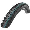 SCHWALBE 11601109, Hans DAMPF Evo, Super Gravity, TLE Unisex Adulto, B/B-SK, 60-622 HS491 ADDIX Soft 67EPI