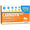 ALFASIGMA SpA CARNIDYN PLUS 18CRP MASTICABILI