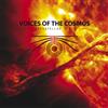 Voice of the Cosmos Interstellar Space (Vinyl LP) 12" Album