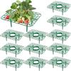 GIONAR Confezione da 12 supporti quadrati per fragole, supporto per fragole, supporto per piante e fragole, per mantenere pulite le bacche